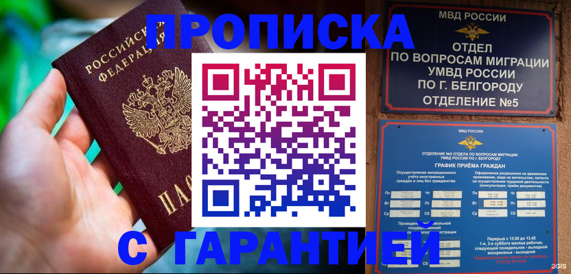 прописка для работы в Электрогорске